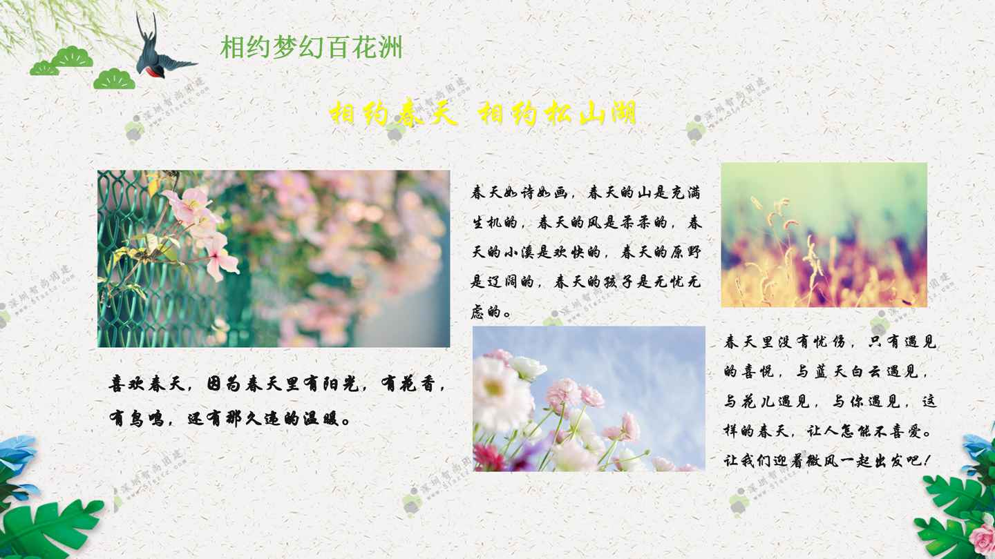 深圳拓展拓展策划创意拓展公司拓展企业拓展拓展活动策划松山湖拓展训练团建