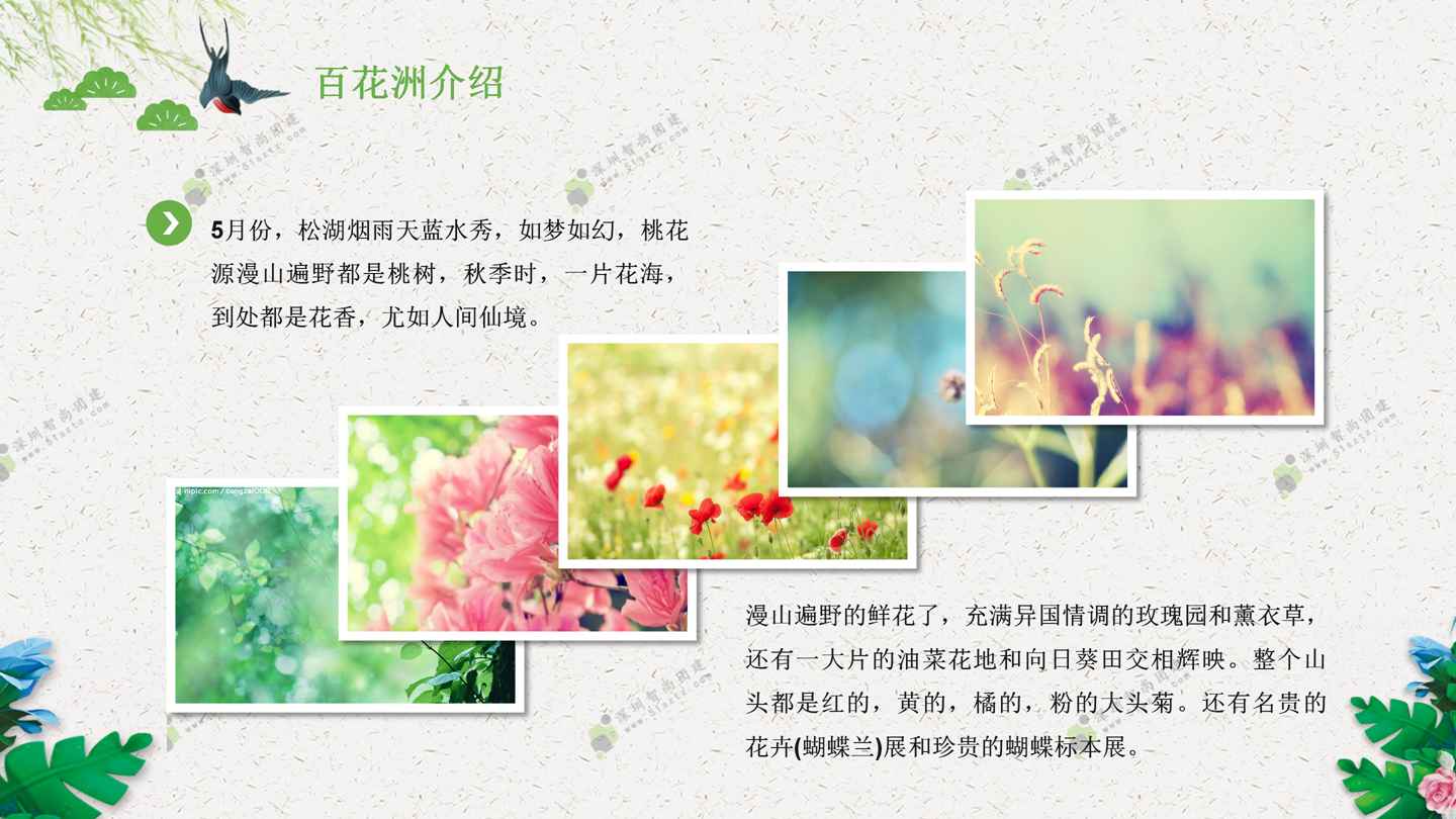 深圳拓展拓展策划创意拓展公司拓展企业拓展拓展活动策划松山湖拓展训练团建